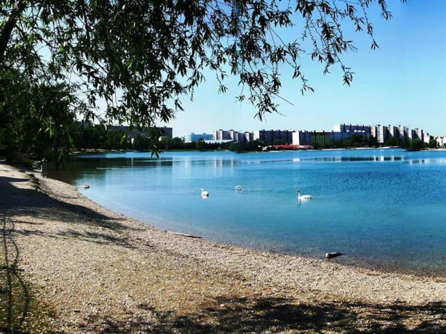 Lake Apartment, 2X Free Garage, 10 Mins To Centre Bratislava Buitenkant foto